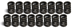 352/390 Edelbrock Performer Valve Springs