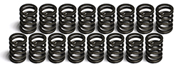 Edelbrock Performer Valve Springs with Rotators